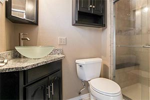 Pauline Gray Granite Bathroom with Expresso Cabinets